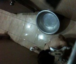 Vietnam student hidden cam in bathroom - 4 min
